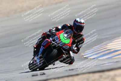media/Mar-12-2022-SoCal Trackdays (Sat) [[152081554b]]/Turn 10 (130pm)/